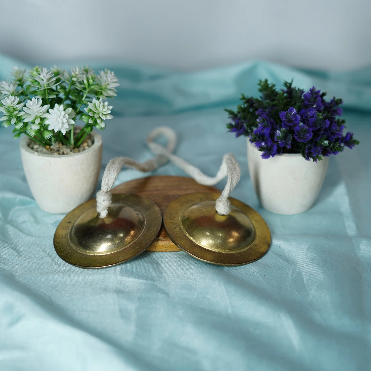 Brass Coated Manjeera Pair