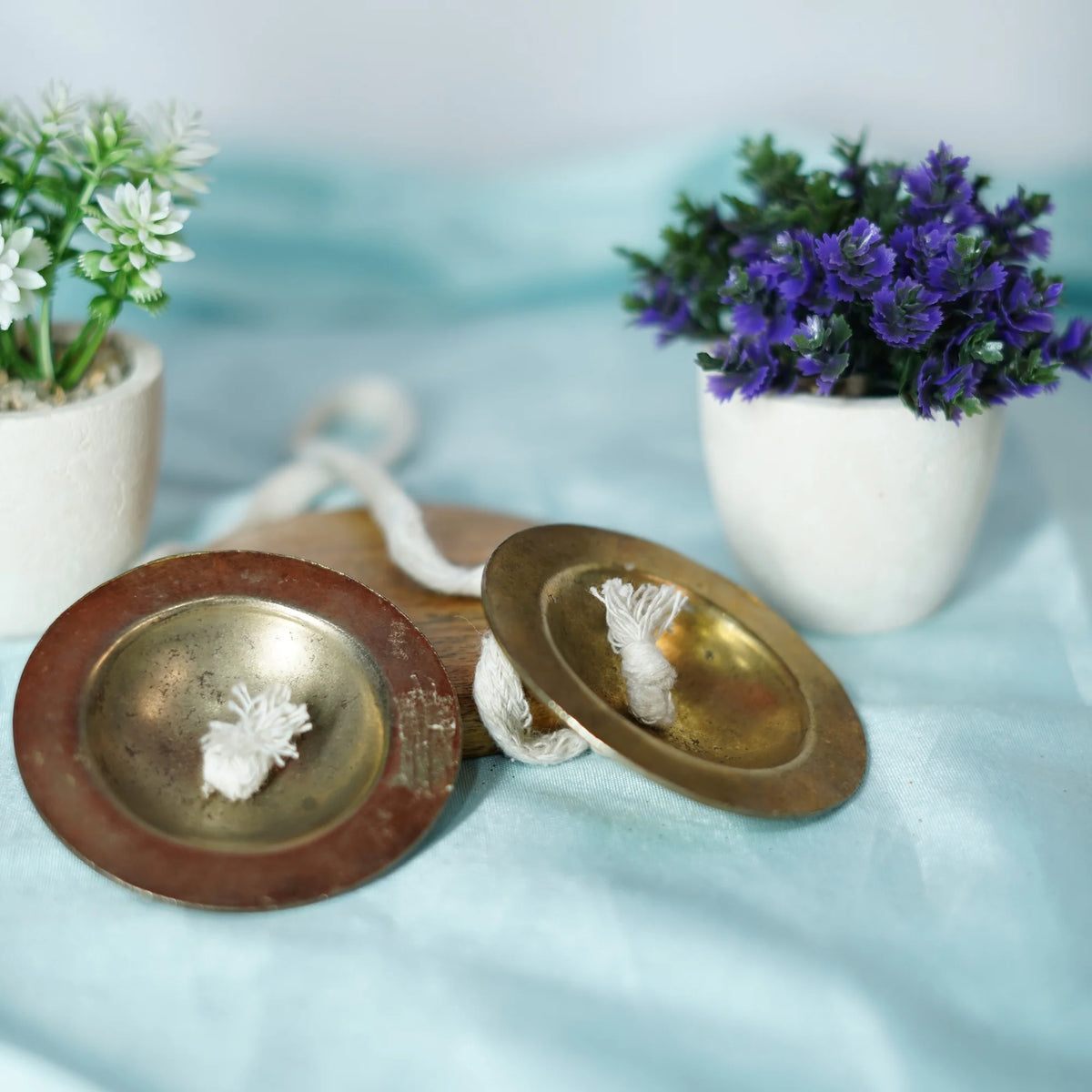 Brass Coated Manjeera Pair